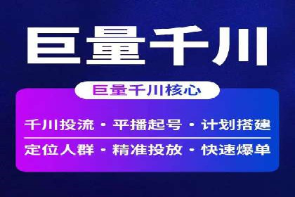 行业领先企业如何运用SEM进行精准营销